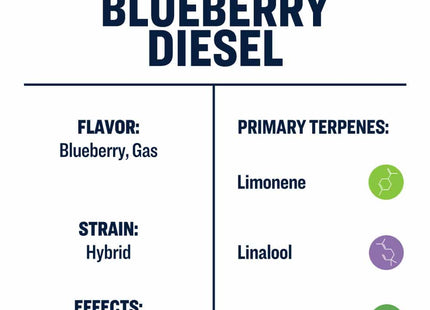 True Terpenes Live Alchemy - Blueberry Diesel
