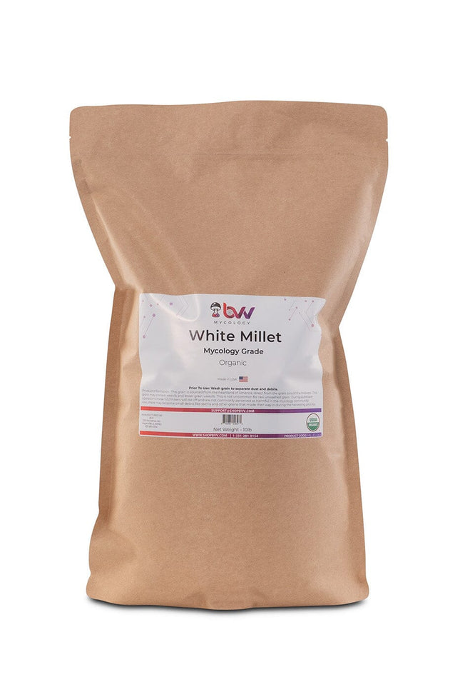 White Millet - Mycology Grade Organic Grain New Products BVV 10LB 