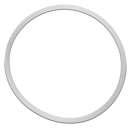 Replacement Gasket for Dutch Weave Sintered Filter Disks - Silicone New Products BVV 8" 