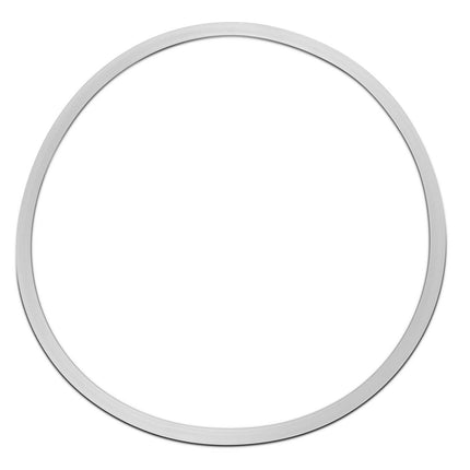 Replacement Gasket for Dutch Weave Sintered Filter Disks - Silicone New Products BVV 6" 