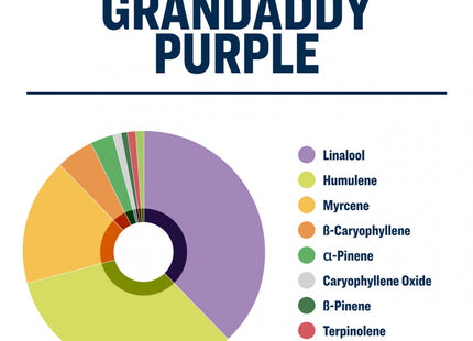 True Terpenes Grandaddy Purple