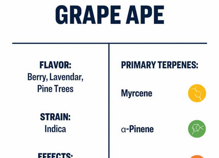 True Terpenes Grape Ape