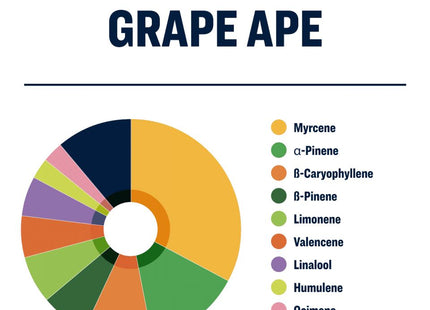 True Terpenes Grape Ape