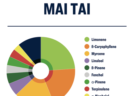 True Terpenes Mai Tai - Infused