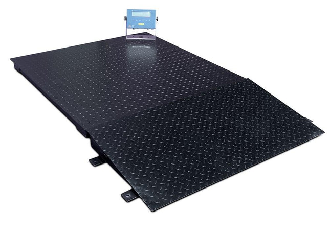 Explosion Proof Platform Scales - 3000KG New Products BVV Carbon Steel 