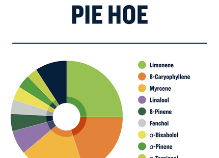 True Terpenes Pie Hoe - Infused