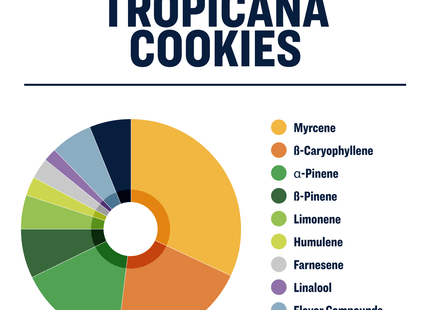True Terpenes Tropicana Cookies -Infused