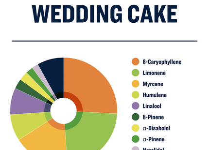 True Terpenes Wedding Cake - Infused