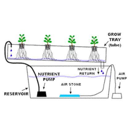 Hydroponic Systems