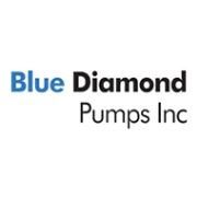 Collection image for: Blue Diamond Pumps Inc.