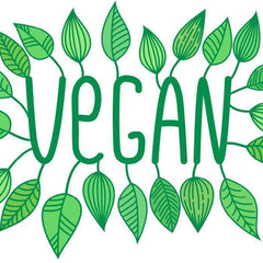 Collection image for: Vegan Nutrients