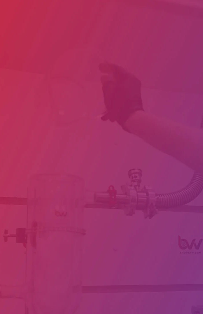 <h1>WHO IS BVV?</h1>