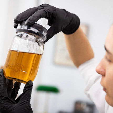 30x Syringe Multiplier & Spore Germination Liquid Culture Kit