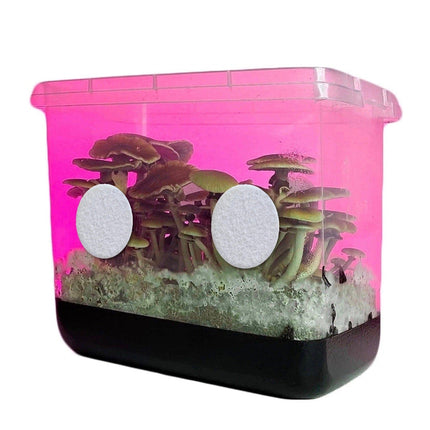 2" Adhesive Monotub 100% Cotton Disc Filters