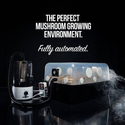 Beginner Automated 'Boomr Bin' + CVG Monotub Mushroom Grow Kit