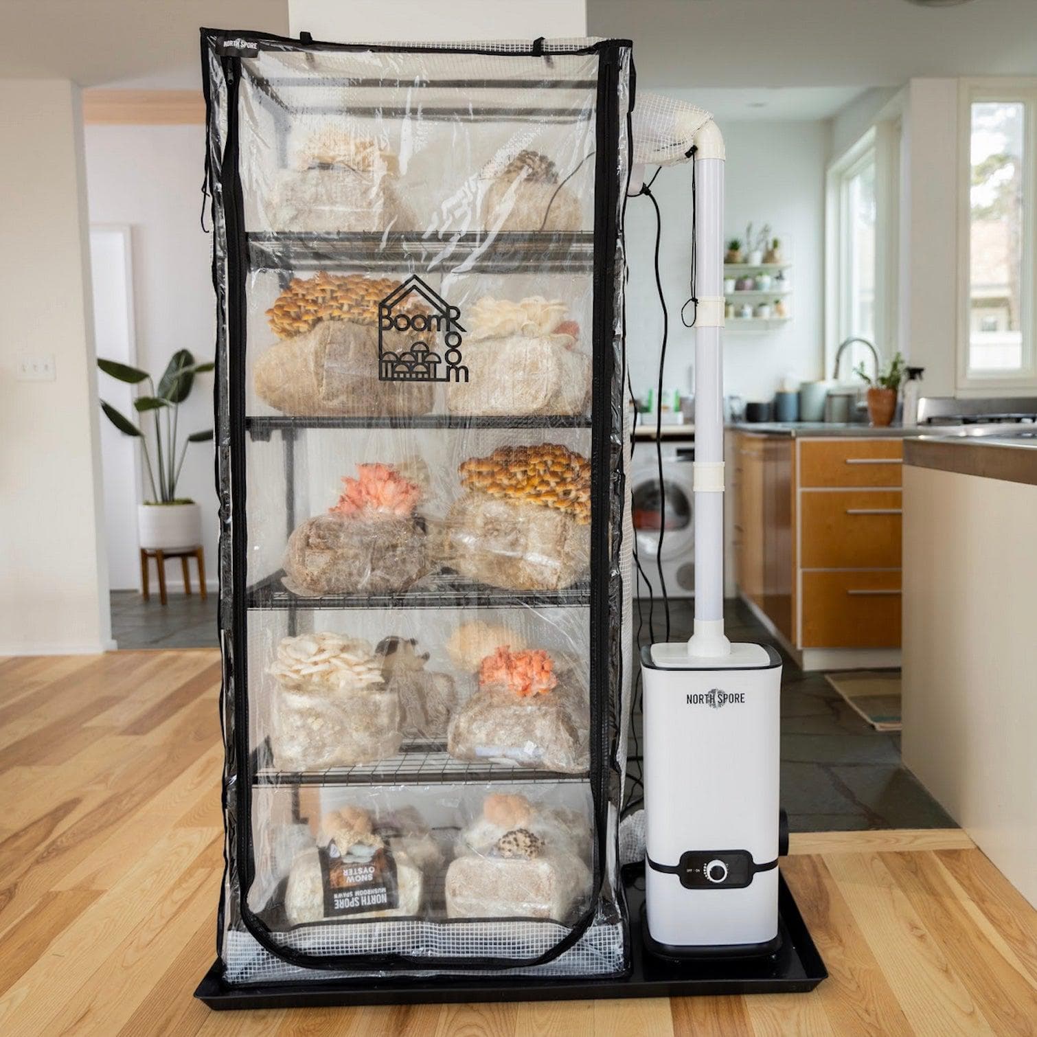 martha tent for mushrooms 'BoomRoom II' Automated Martha Tent Mushroom Grow Kit