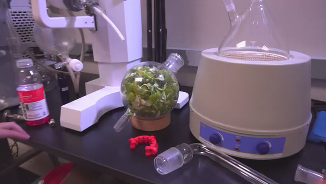 Steam Distillation Kit