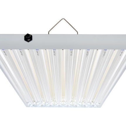 Agrobrite - T5 4' Fixture with Lamps Hydroponic Center Agrobrite T5 432W 4' 8 - Tube Fixture 277V (no lamps) 