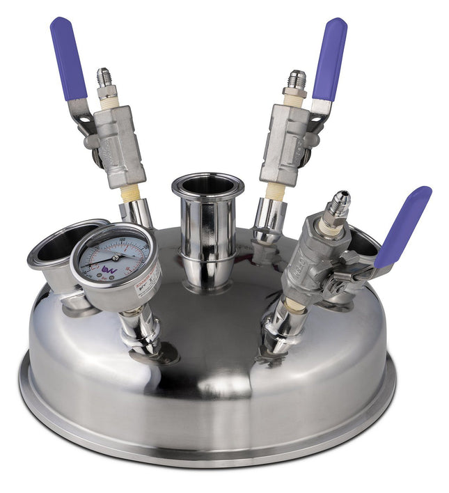 10" Pre-Built BIFLOW Hemispherical Lid with BVV 316SS Full Bore Valves