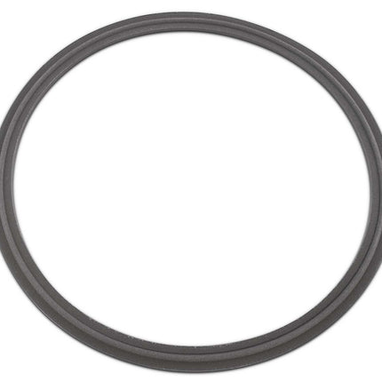 Tef-Steel PTFE / Stainless Steel Sanitary Tri-Clamp Gasket Shop All Categories BVV 6-inch 