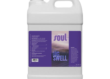 Soul Big Swell