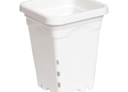 Active Aqua Square White Pot