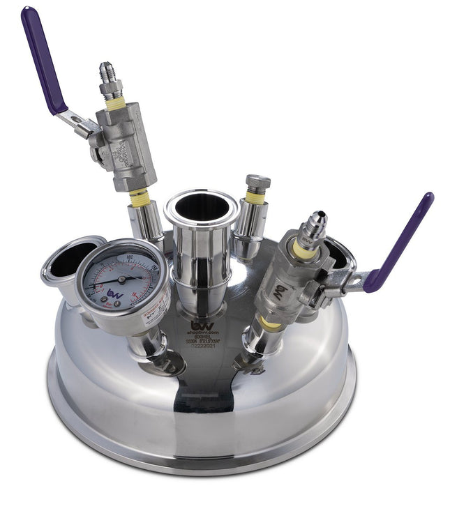 8" Pre-Built Hemispherical Lid with BVV 316SS Full Bore Valves