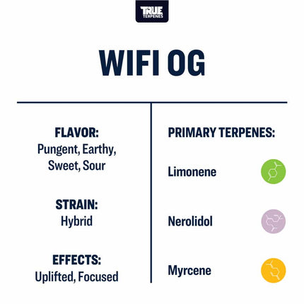 True Terpenes WiFi OG - Precision Shop All Categories True Terpenes 