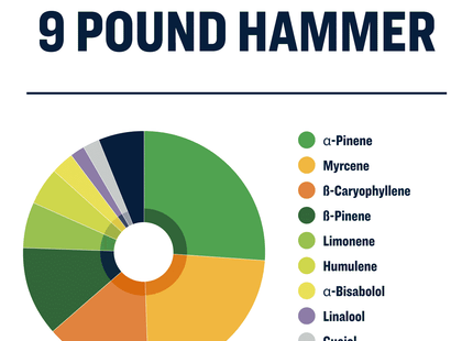 True Terpenes 9 Pound Hammer Profile