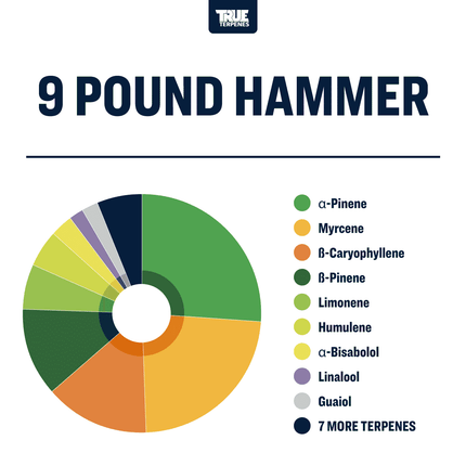 True Terpenes 9 Pound Hammer Profile Shop All Categories True Terpenes 