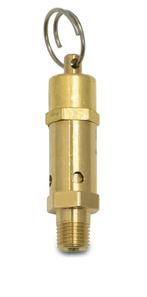 ASME-Code Fast-Acting Pressure-Relief Valve for Air, Test Ring, Brass Seal, 1/4 NPT, 3-1/8" High Shop All Categories BVV 100 PSI 