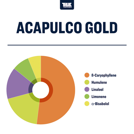 True Terpenes - Acapulco Gold Profile Shop All Categories True Terpenes 