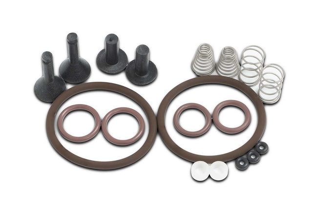 TRS21 & BVV Butane Recovery Pump Valve Rebuild Kit