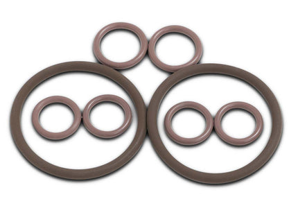 TRS21 Valve Head Complete Viton O-ring Kit
