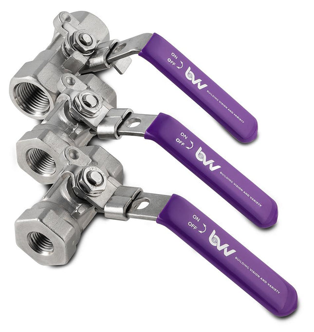 BVV™ 316SS FNPT Full Bore Ball Valve -40F to 450F