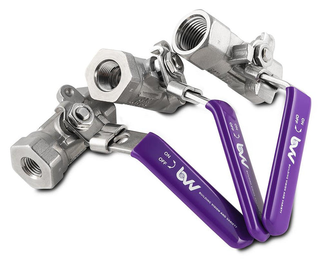 BVV™ 316SS FNPT Full Bore Ball Valve -40F to 450F