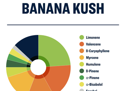 True Terpenes Banana Kush