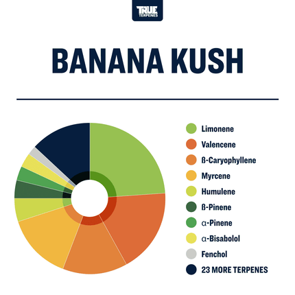 True Terpenes Banana Kush - Infused Shop All Categories True Terpenes 