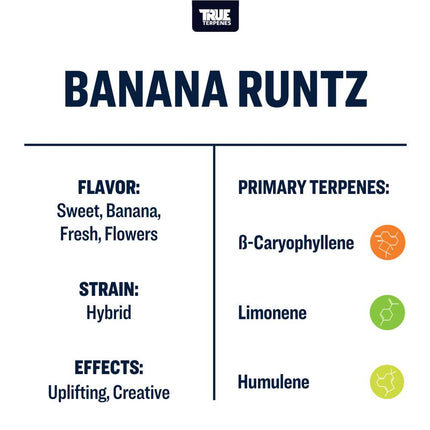 True Terpenes Banana Runtz Profile Shop All Categories True Terpenes 