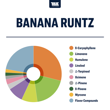 True Terpenes Banana Runtz Profile Shop All Categories True Terpenes 