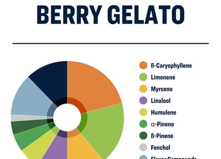 True Terpenes Berry Gelato