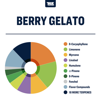 True Terpenes Berry Gelato Profile Shop All Categories True Terpenes 