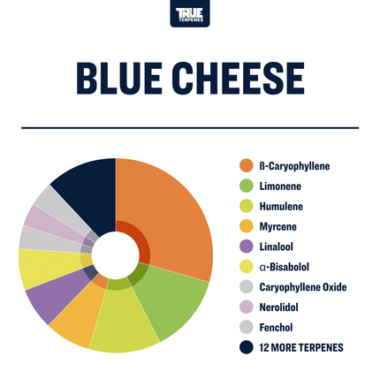 True Terpenes Blue Cheese - Profile Shop All Categories True Terpenes 