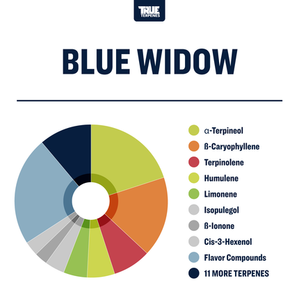 True Terpenes Blue Window Profile - Flavor Infused True Terpenes 