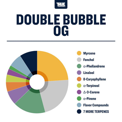True Terpenes Double Bubble OG Shop All Categories True Terpenes 