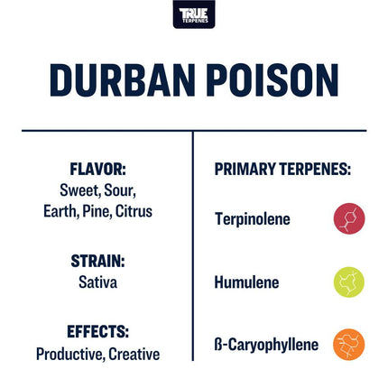 True Terpenes Durban Poison - Precision Shop All Categories True Terpenes 