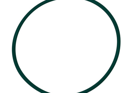 Replacement Viton O-ring for Sintered Filter Plate