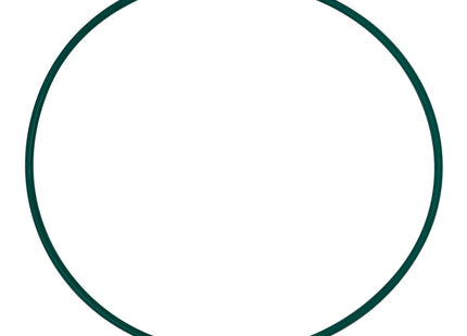 Replacement Viton O-ring for Sintered Filter Plate