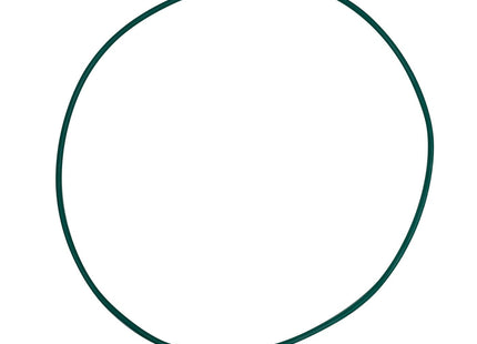 Replacement Viton O-ring for Sintered Filter Plate