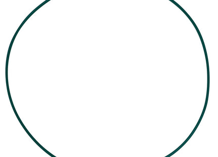 Replacement Viton O-ring for Sintered Filter Plate